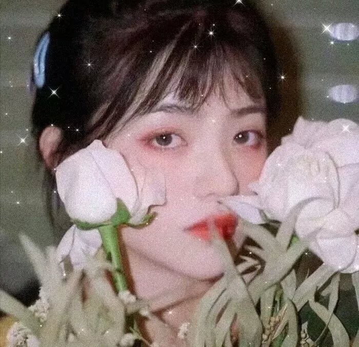 浪漫暴风圈