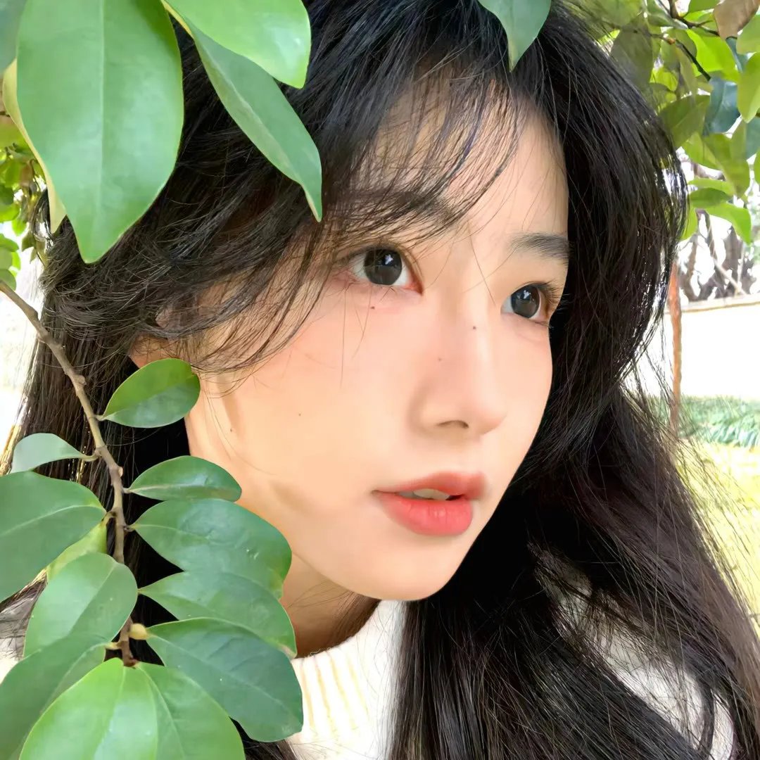 直言真相第一季